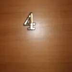 Silvia ماكارسكا